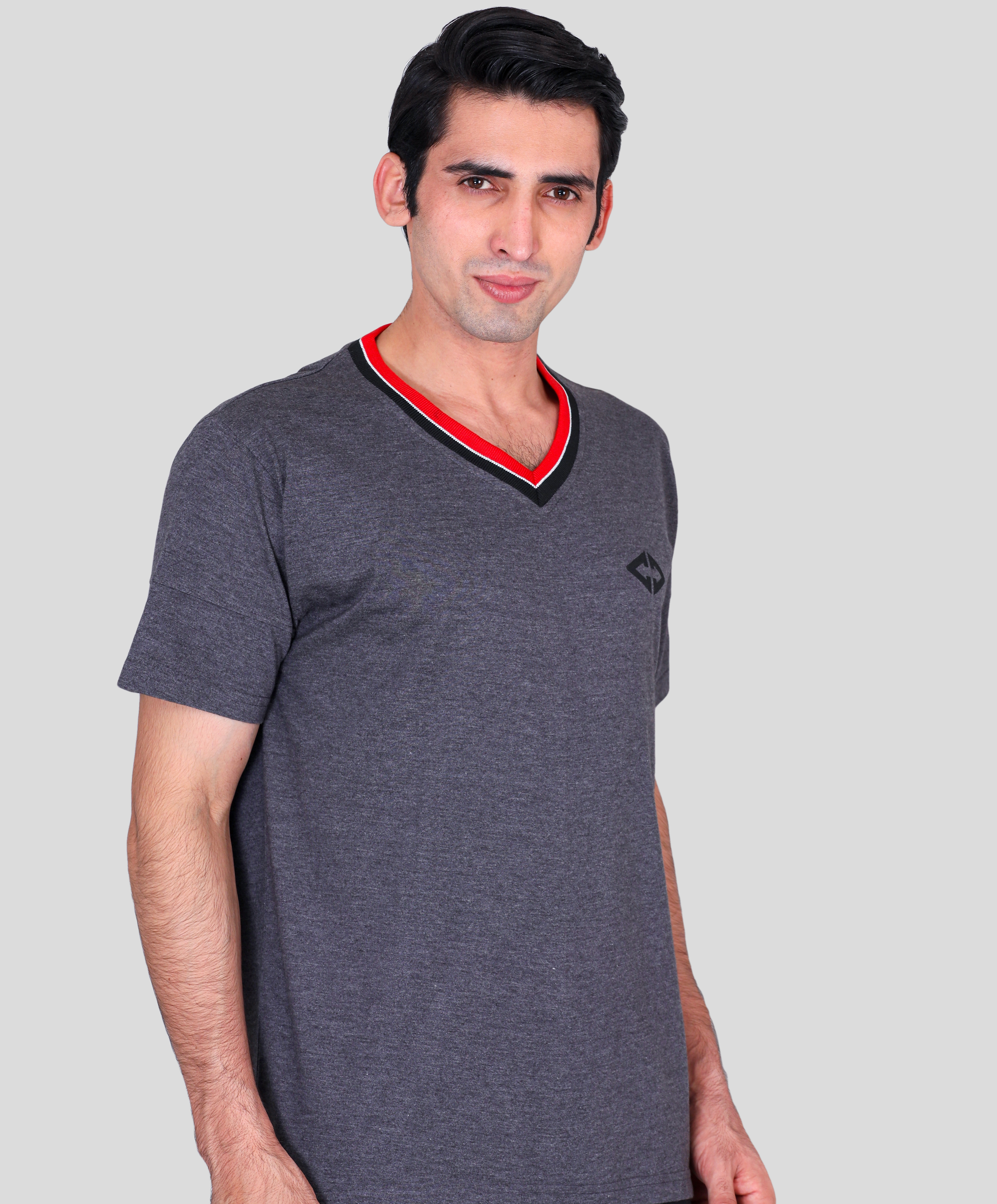 Antra grey v neck single jersey round neck t-shirts with company logo